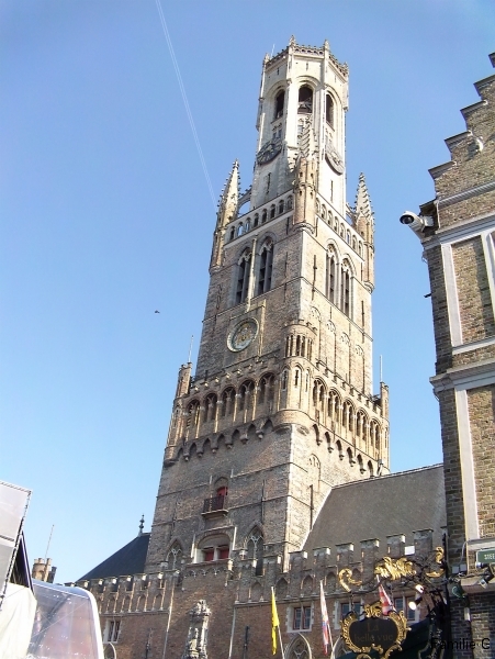 DVCI2464