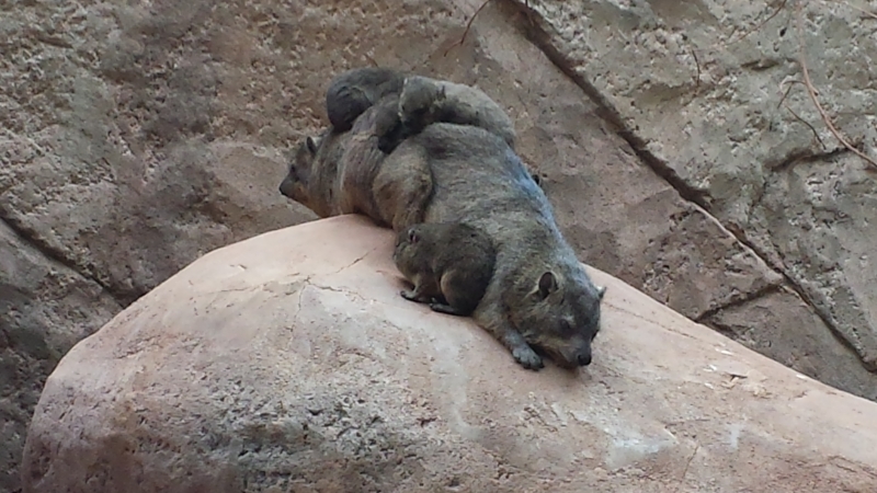 20160507_104937