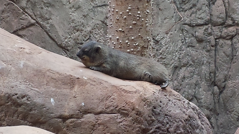 20160507_104945