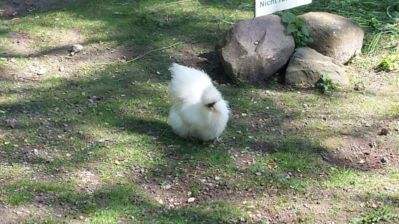 20160507_120633