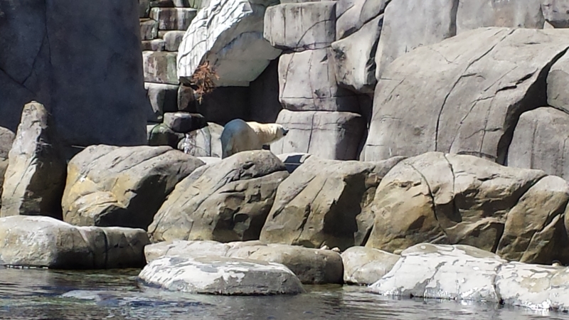 20160507_131435