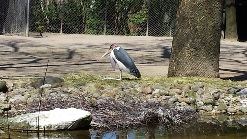 20160507_135239