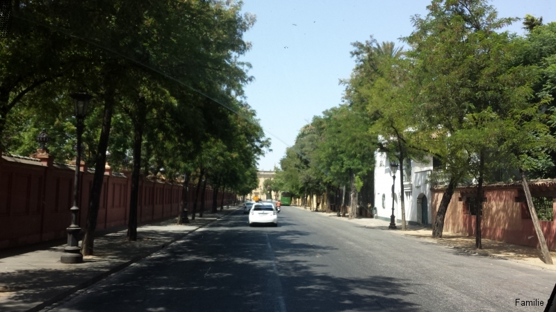 20150706_162022