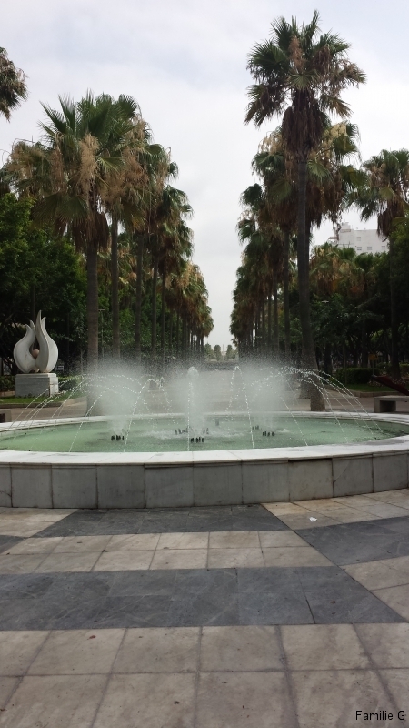 20150710_110659