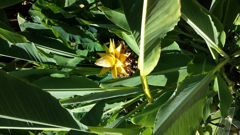20150720_151020