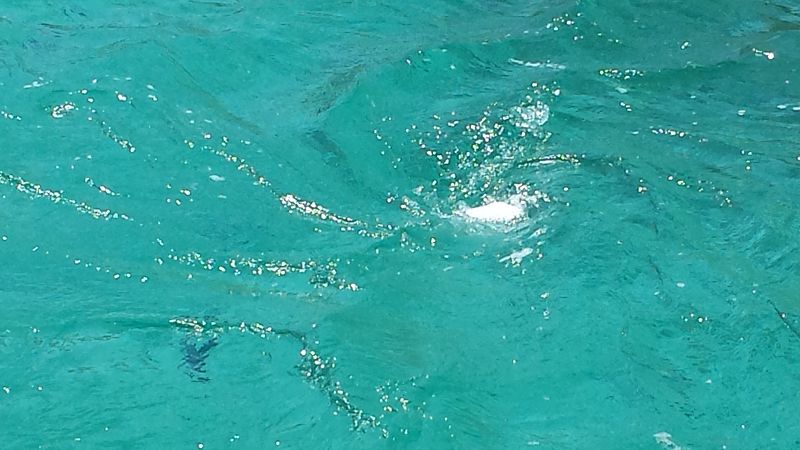 20160708_112747