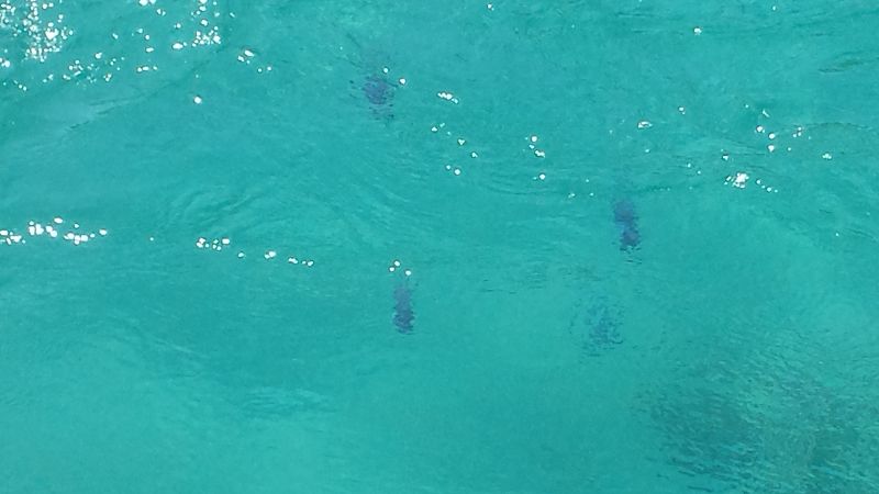 20160708_112754