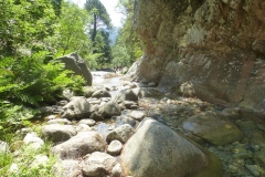 20160706_114744